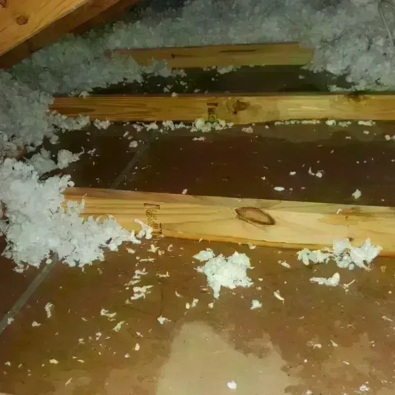 Attic Water Damage in Harper, TX