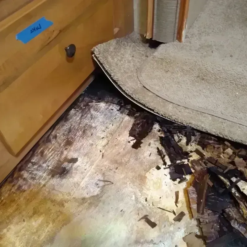 Wood Floor Water Damage in Harper, TX